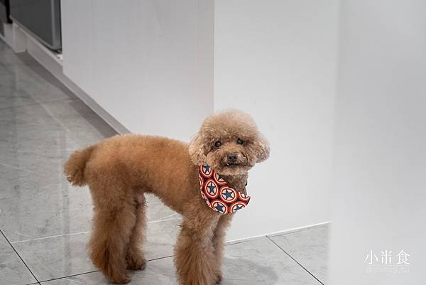 202108023-SHLAI 喜來髮廊-17.jpg