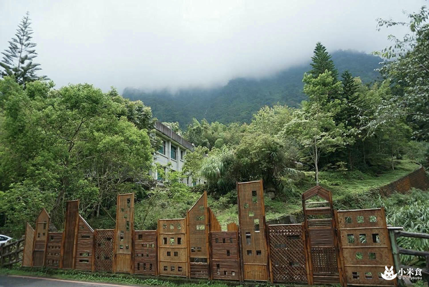 金台灣山莊|溪頭民宿小木屋2天1夜遊推薦|溪頭旅遊住宿、周邊景點妖怪村|擁抱山林森呼吸。樂享農家珍味香 - 第64張圖