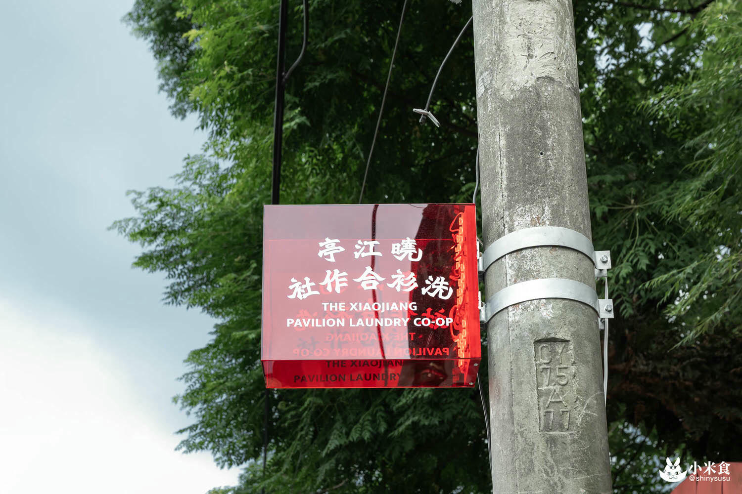浪漫台三線藝術季|Falabidbog~花啦嗶啵个客庄|浪漫公路情。踏上客庄尋跡|暑期旅遊|台灣夏日輕旅行 - 第8張圖