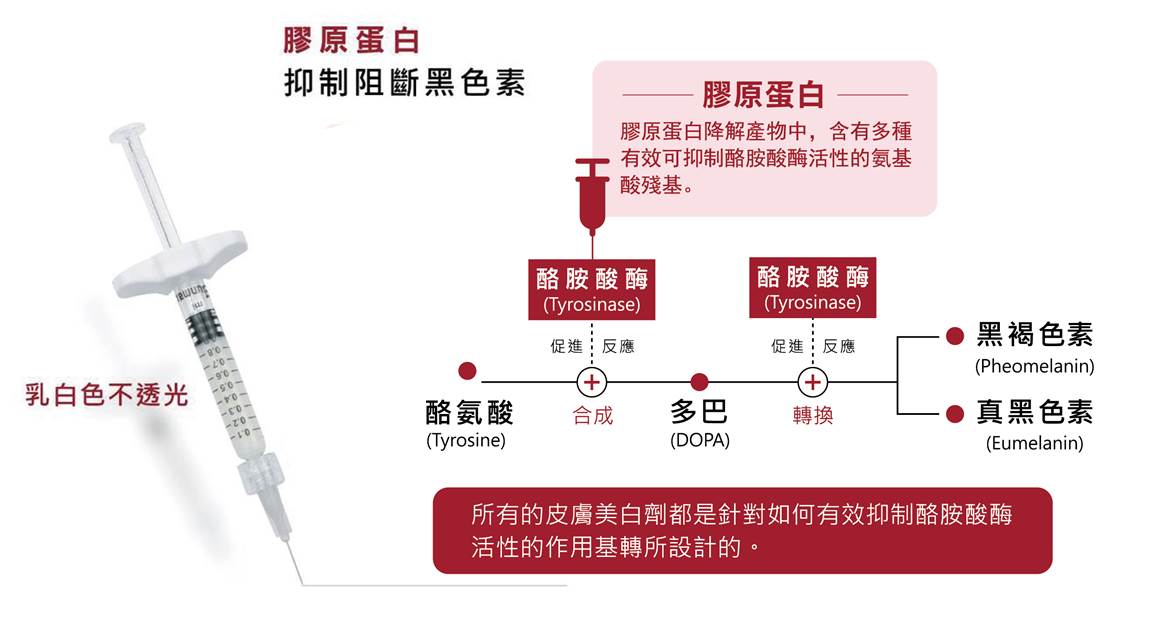 想要改善黑眼圈,醫美推薦-双美膠原蛋白植入劑(熊貓針)心得分享|高雄仲夏醫美診所 - 第12張圖