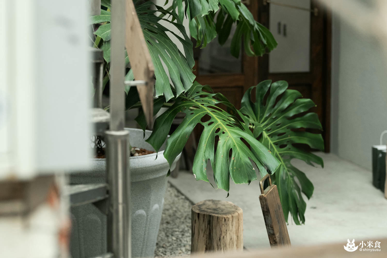 20240420 仌菓Gelato 12