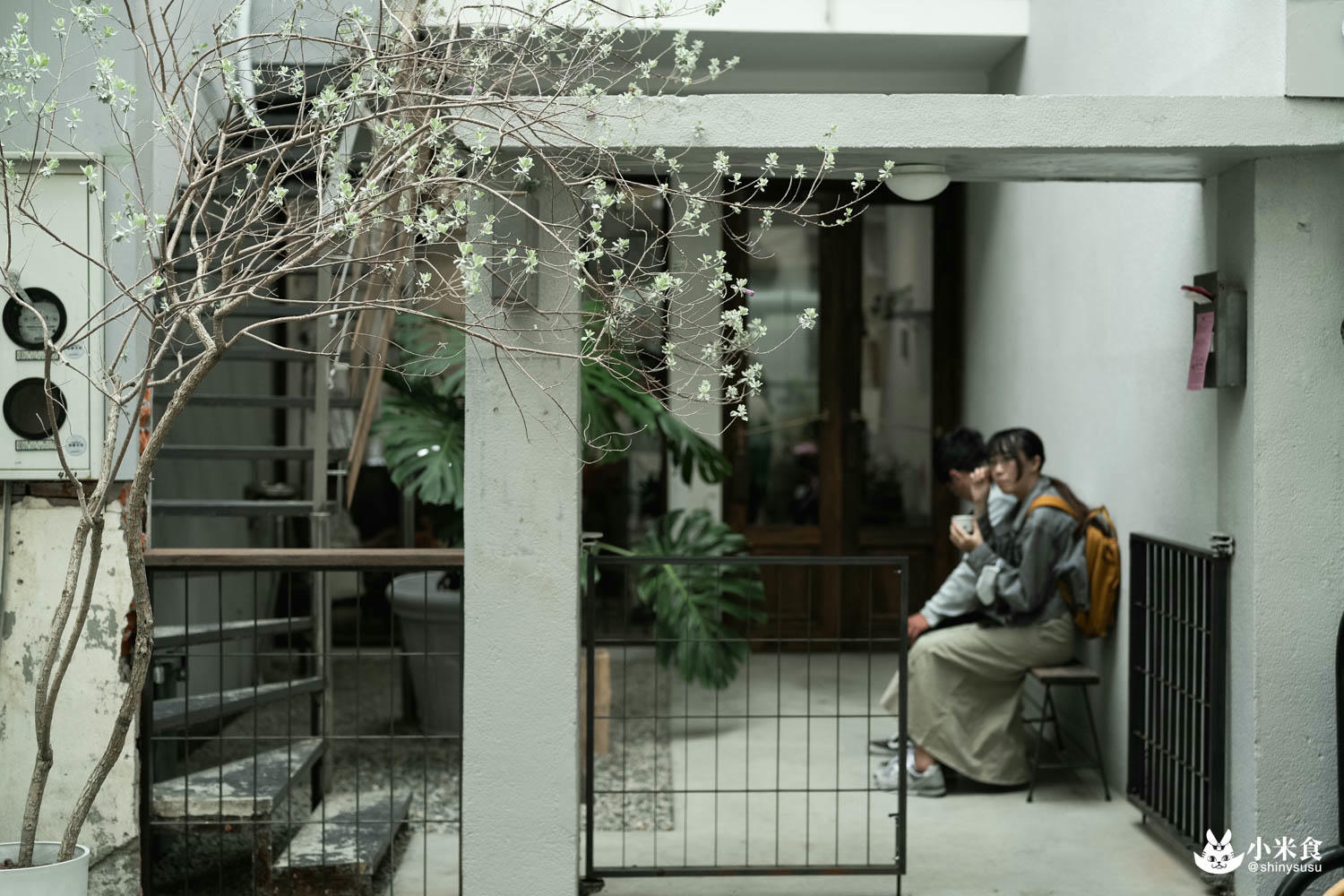 20240420 仌菓Gelato 6