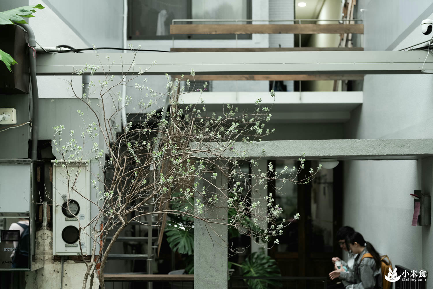 20240420 仌菓Gelato 9