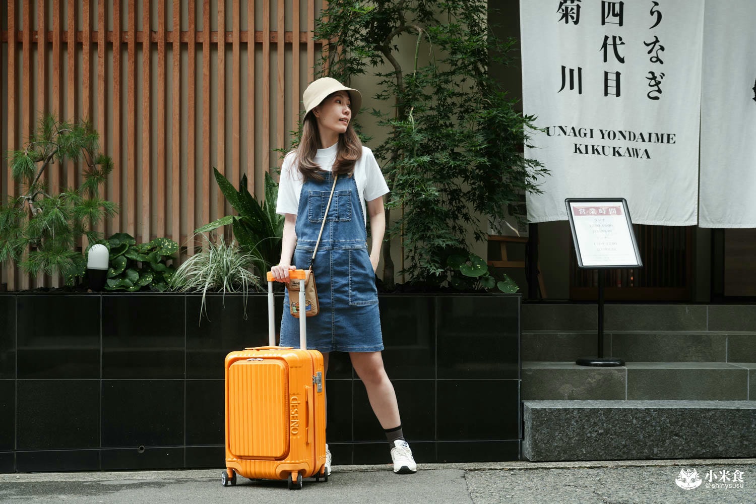 DESENO笛森諾行李箱|可愛旅物,金黃一夏托著走|台灣設計|尊爵傳奇V 20吋登機箱推薦 - 第3張圖