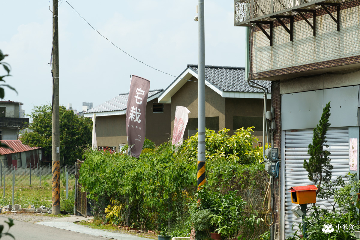 宅栽觀葉農場|療癒葉生活,2025埔里景點推薦、埔里一日遊 - 第5張圖