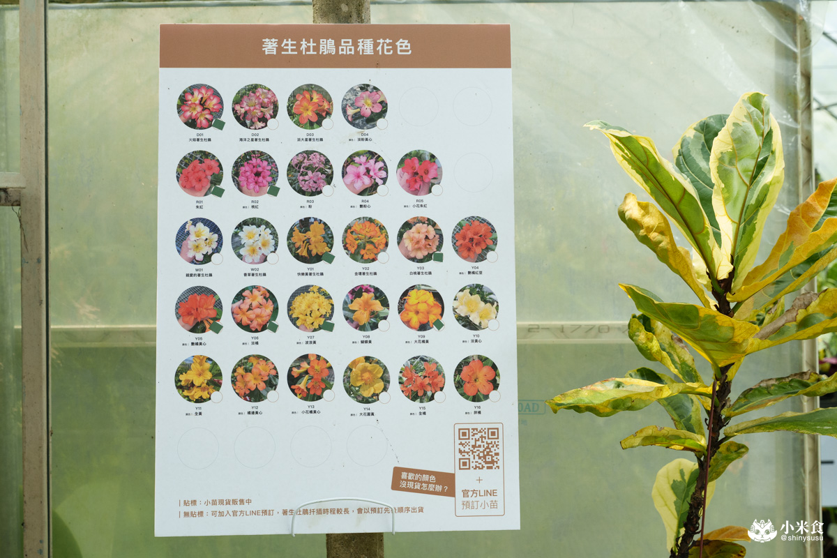 宅栽觀葉農場|療癒葉生活,2025埔里景點推薦、埔里一日遊 - 第35張圖