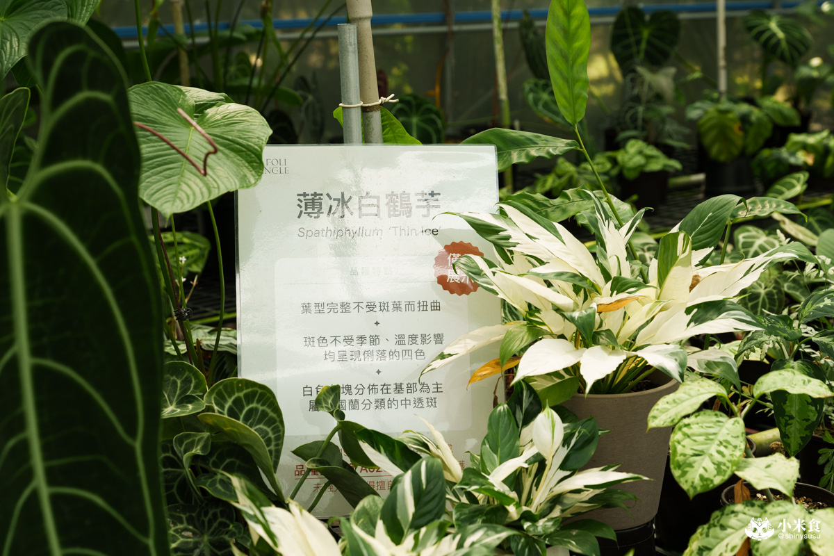 宅栽觀葉農場|療癒葉生活,2025埔里景點推薦、埔里一日遊 - 第49張圖