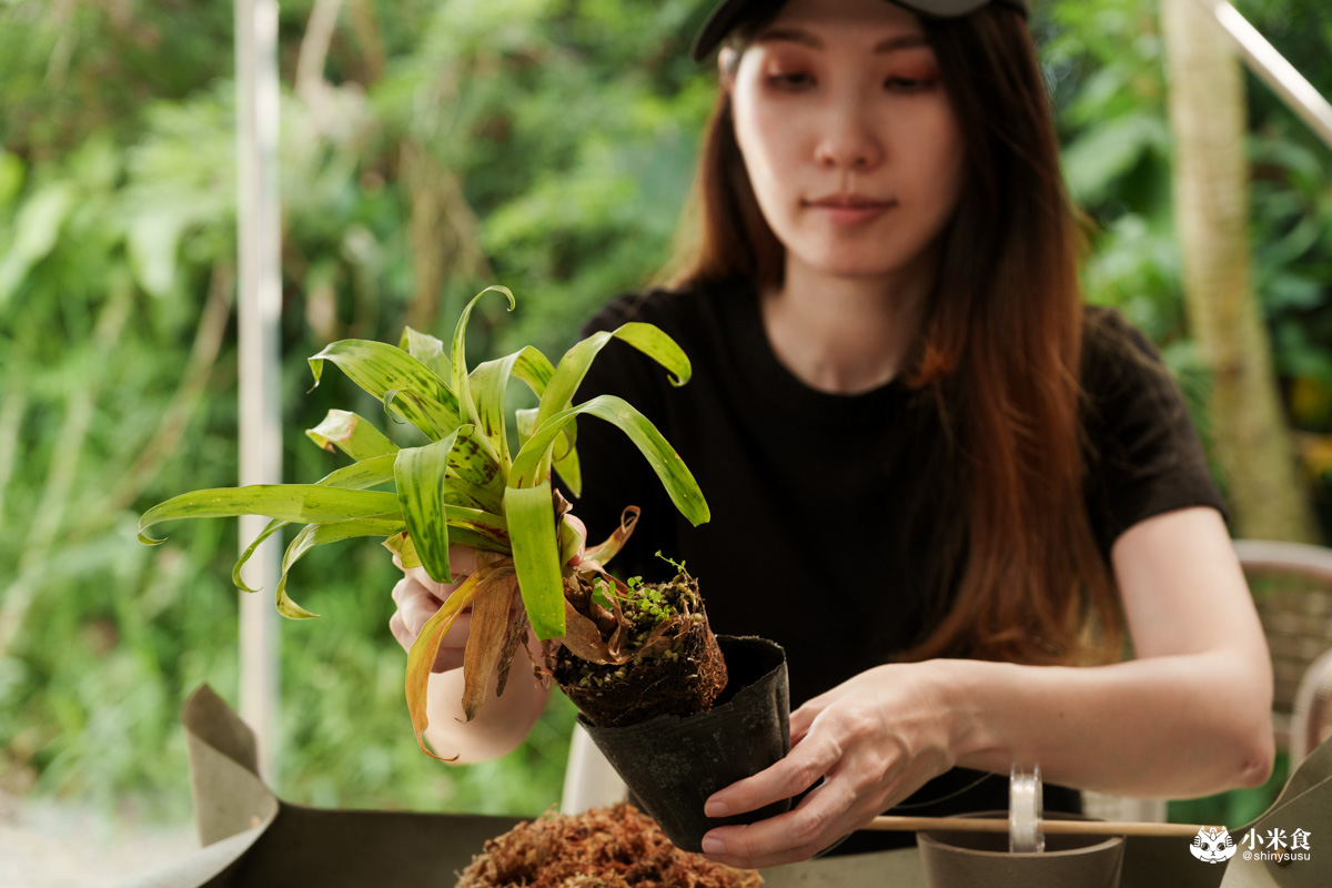 宅栽觀葉農場|療癒葉生活,2025埔里景點推薦、埔里一日遊 - 第38張圖