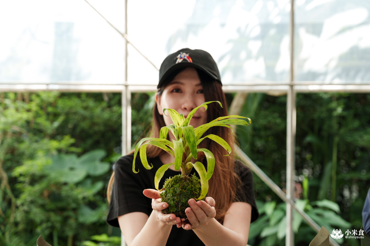 宅栽觀葉農場|療癒葉生活,2025埔里景點推薦、埔里一日遊 - 第28張圖