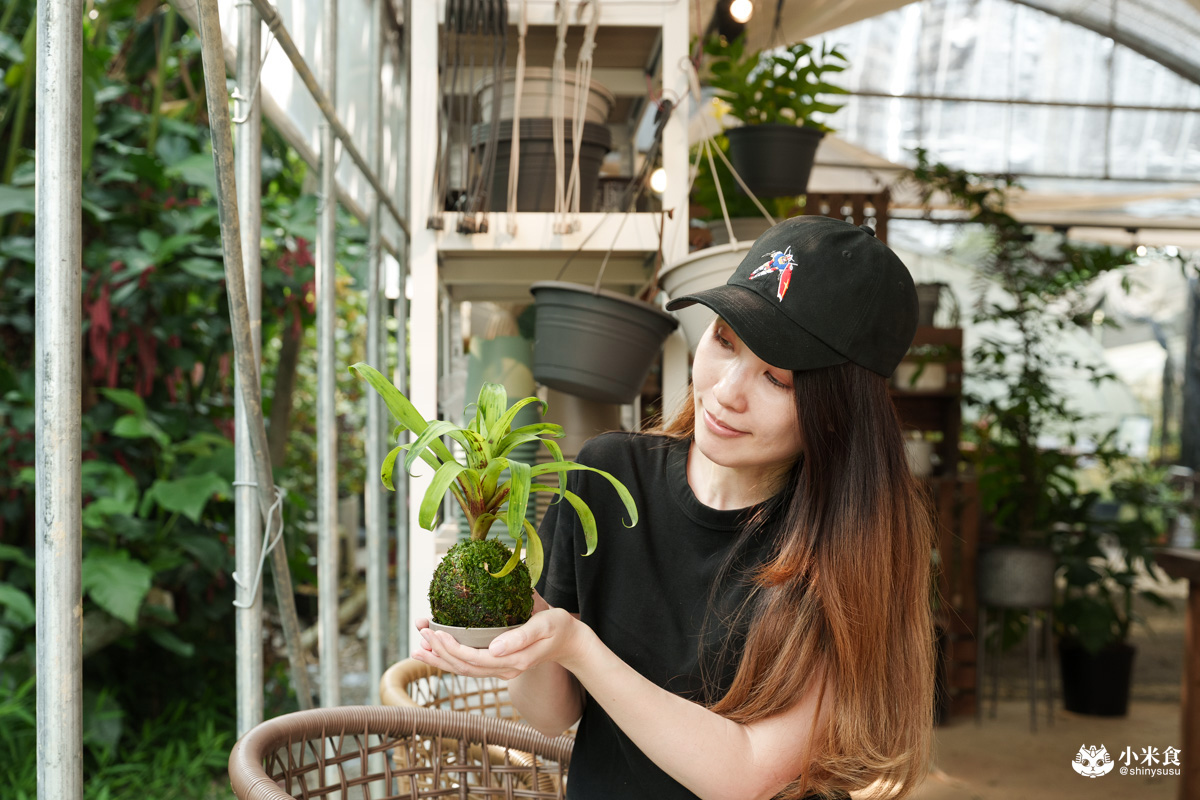 宅栽觀葉農場|療癒葉生活,2025埔里景點推薦、埔里一日遊 - 第41張圖