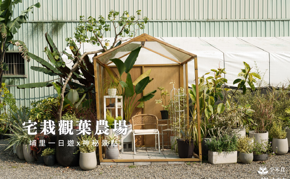 宅栽觀葉農場|療癒葉生活,2025埔里景點推薦、埔里一日遊 - 第1張圖