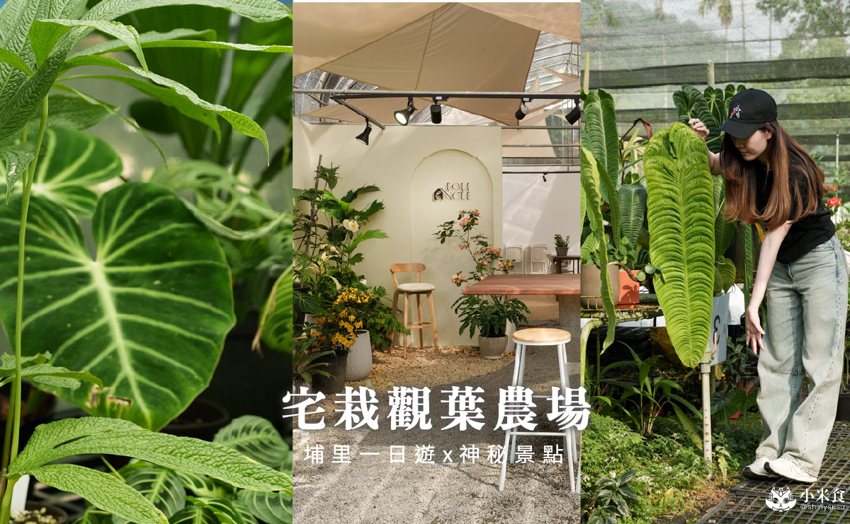 宅栽觀葉農場|療癒葉生活,2025埔里景點推薦、埔里一日遊 - 第2張圖