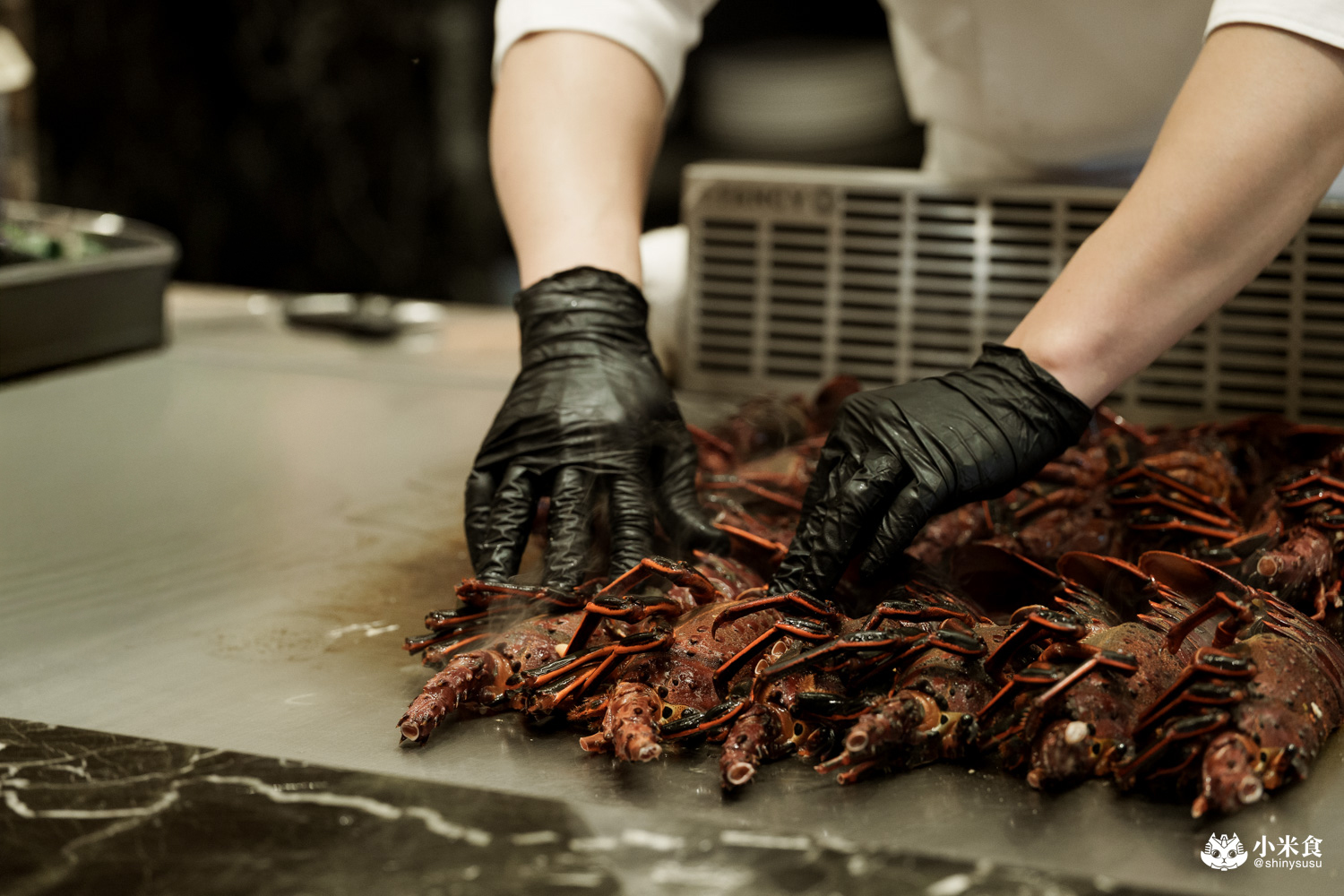 夏登法式鐵板燒 澳洲龍蝦水姑娘 夏登法式鐵板燒|城市香草花園,1450+10% 起的11道無菜單料理,可升級龍蝦套餐,台中南屯鐵板燒推薦