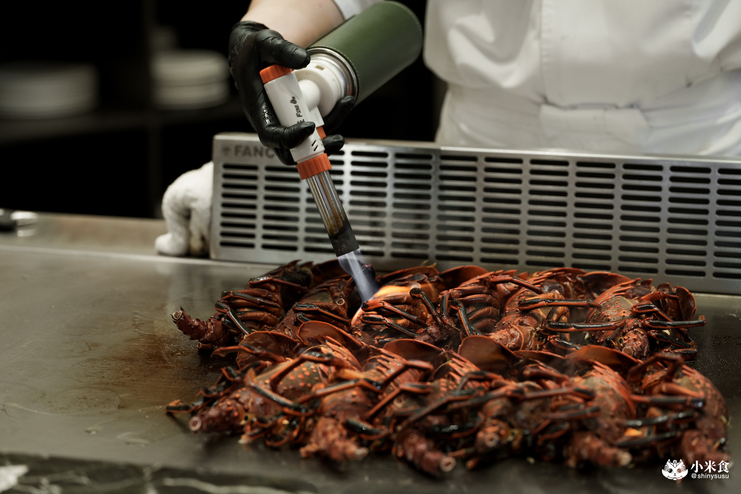 夏登法式鐵板燒 澳洲龍蝦水姑娘 夏登法式鐵板燒|城市香草花園,1450+10% 起的11道無菜單料理,可升級龍蝦套餐,台中南屯鐵板燒推薦