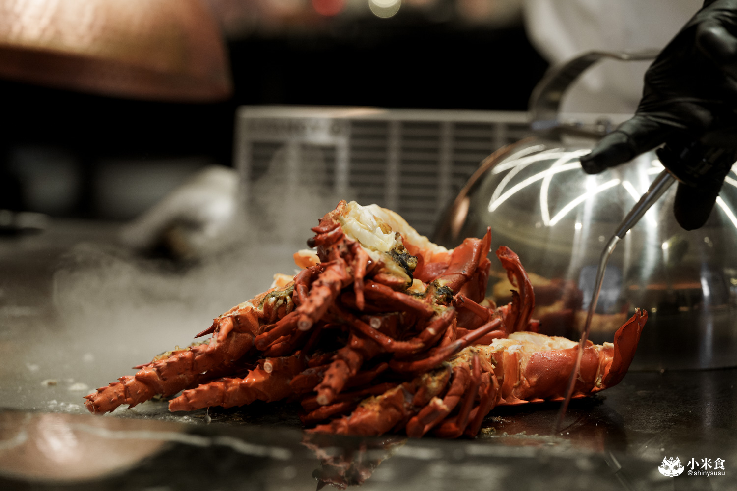 夏登法式鐵板燒 澳洲龍蝦水姑娘 夏登法式鐵板燒|城市香草花園,1450+10% 起的11道無菜單料理,可升級龍蝦套餐,台中南屯鐵板燒推薦