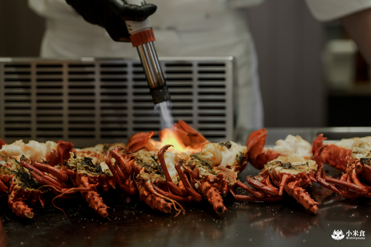 夏登法式鐵板燒 澳洲龍蝦水姑娘 夏登法式鐵板燒|城市香草花園,1450+10% 起的11道無菜單料理,可升級龍蝦套餐,台中南屯鐵板燒推薦