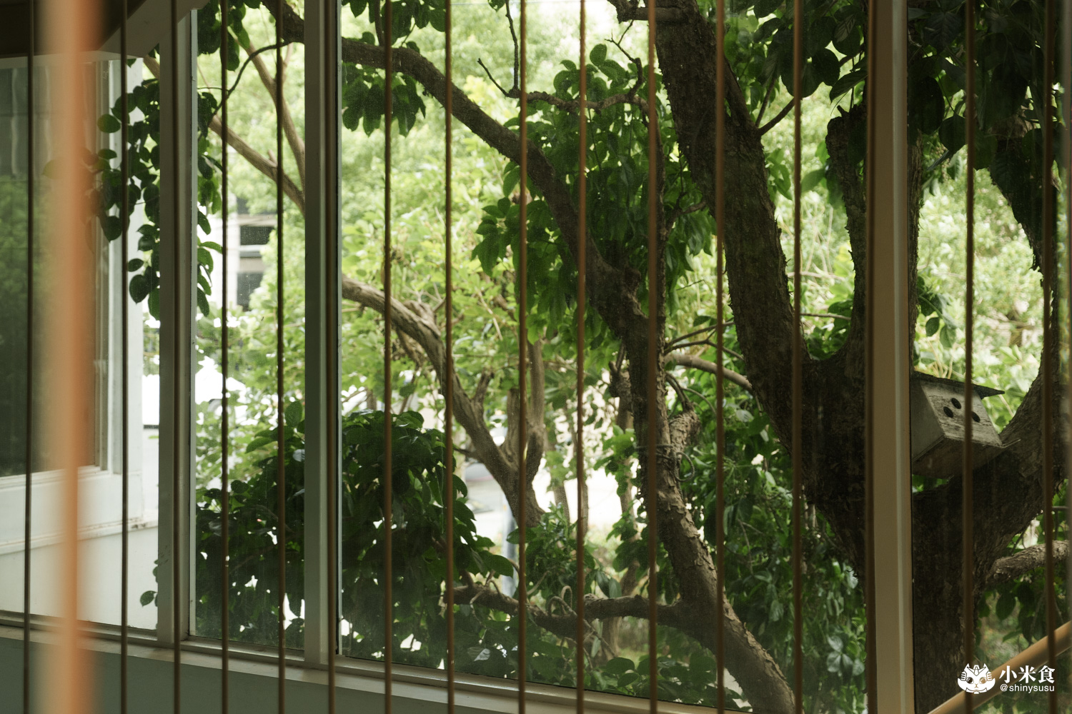 Jin Her今鶴義式餐酒館逢甲店|在得獎建築裡,享受森林系美味,2025台中義大利麵推薦,逢甲聚餐餐廳 - 第23張圖