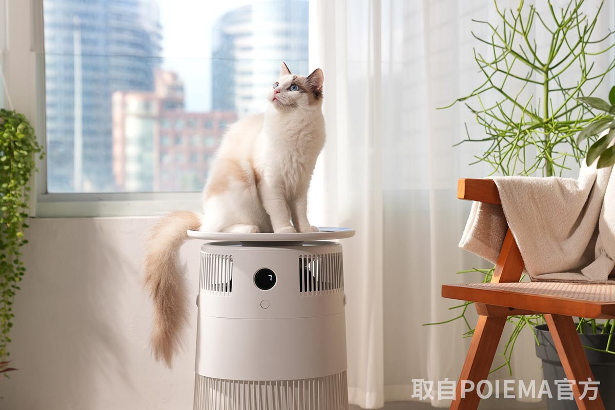 新氣几 POIEMA 空氣淨化器｜空氣清淨機推薦，好水洗、免風乾、零耗材，四層過濾，生活美學家電